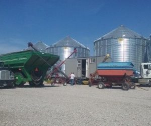 Grain, Seed Cleaning